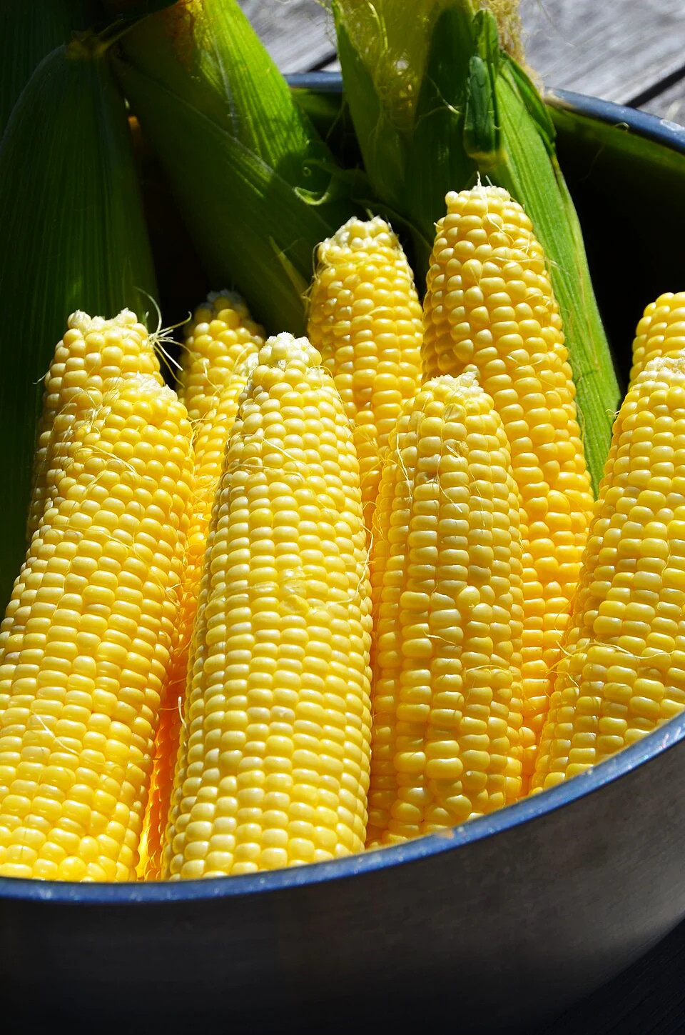 Honey Select Triple Sweet Corn Seeds | AAS Winner Untreated Yellow SY Seed 2023