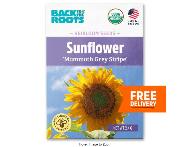 Organic Mammoth Grey Stripe Sunflower Seed (1-Pack)