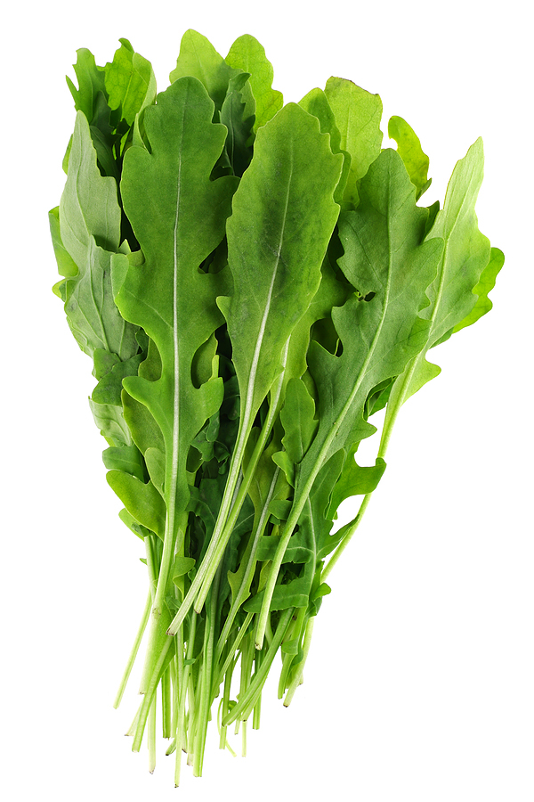 600+ARUGULA ROQUETTE Seeds Organic Spring Fall Garden Patio Containers Fast Easy