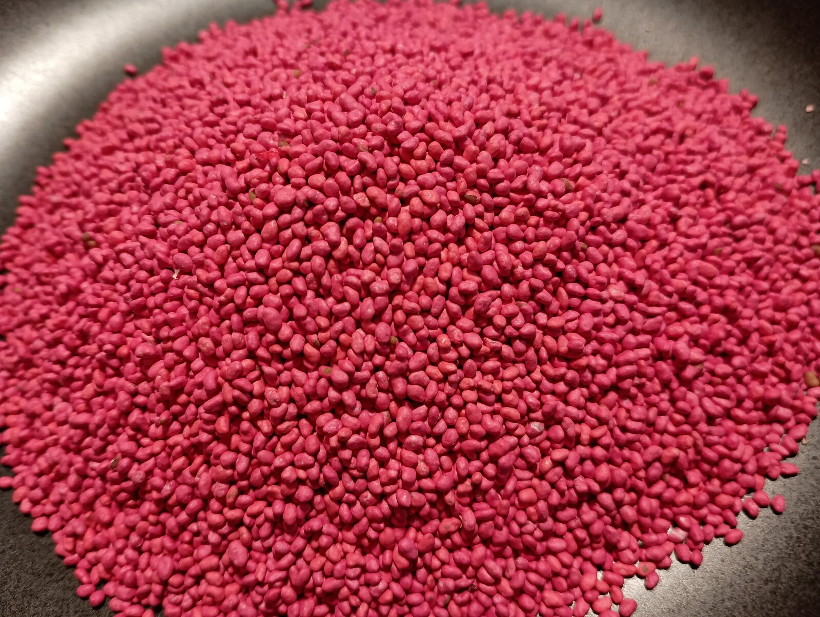 Alfalfa Seeds for Planting – High-Yielding Forage Crop Nitrogen-Fixing NON-GMO