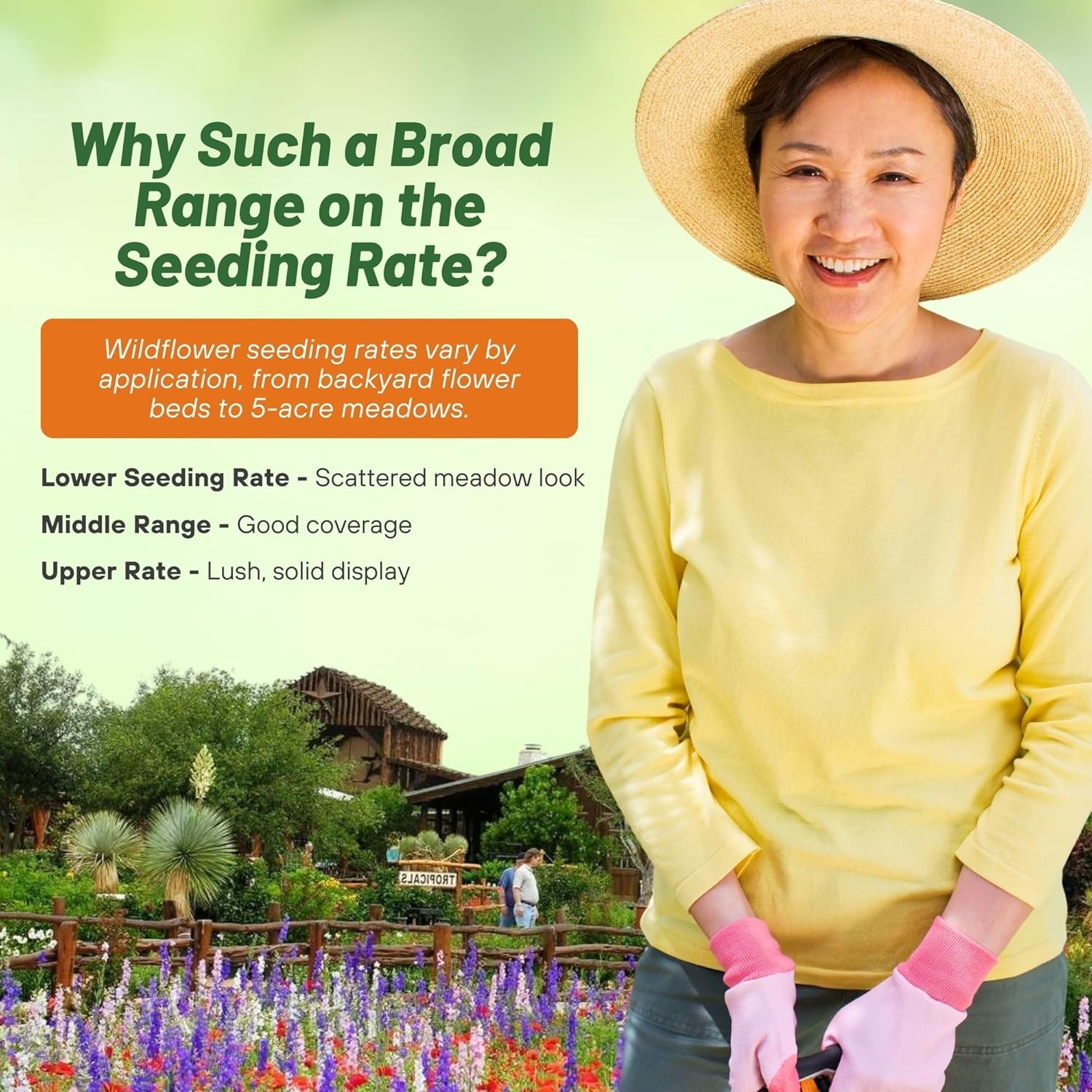 1 LB Texas and Oklahoma Wildflower Seed Mixes For Planting Outdoors