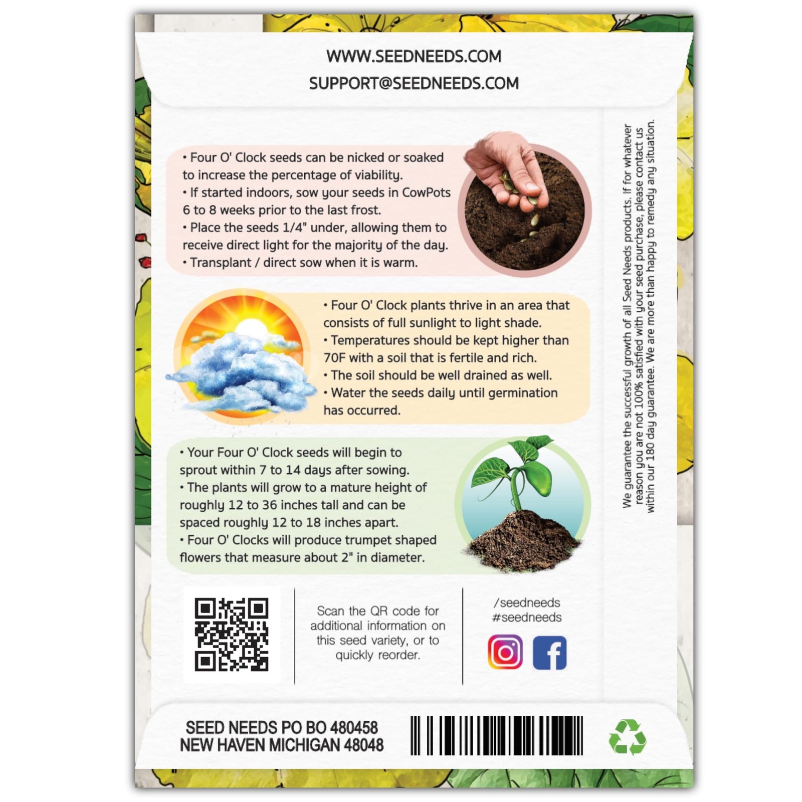Seed Needs Yellow Four O Clock Seeds to Plant 1 Pack (60 Seeds),