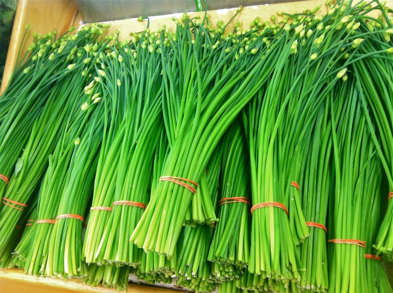 200+ Garlic Chives Seeds — Perennial — Organic – Heirloom – NON GMO — FRESH