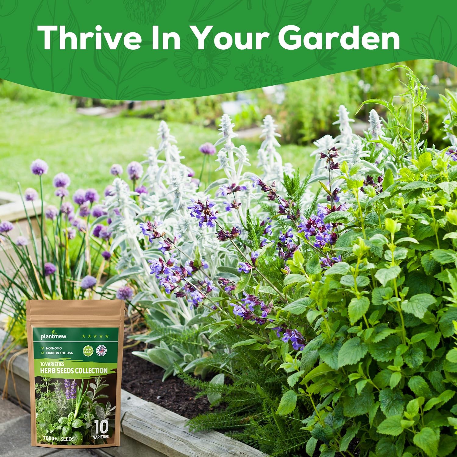 PLANTMEW 10 Herb Seeds Variety Pack 70 Heirloom Non GMO Seeds Basil Cilantro