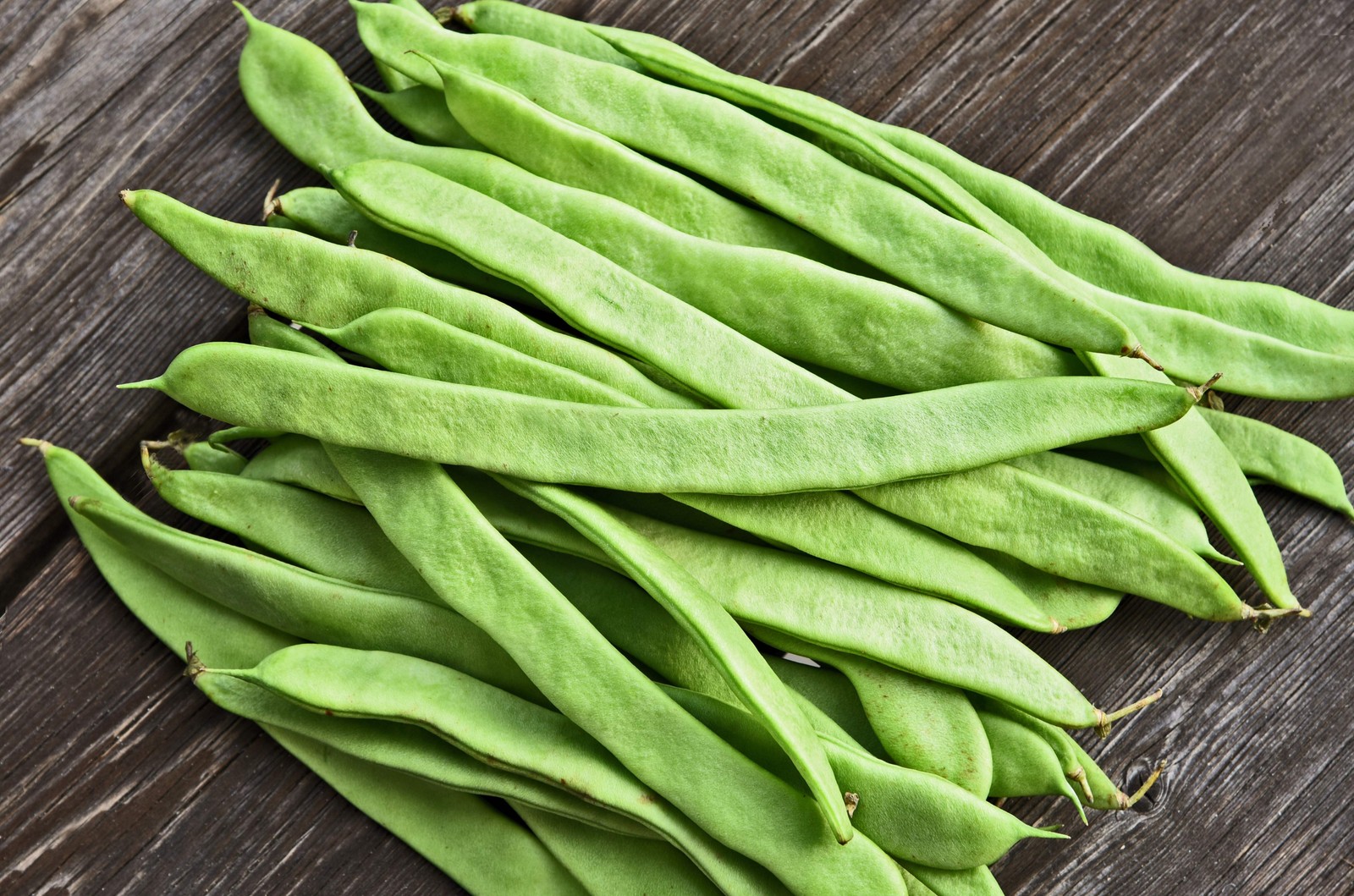 50 ROMANO BUSH BEAN Italian Flat Green Pod Phaseolus Vulgaris Vegetable Seeds