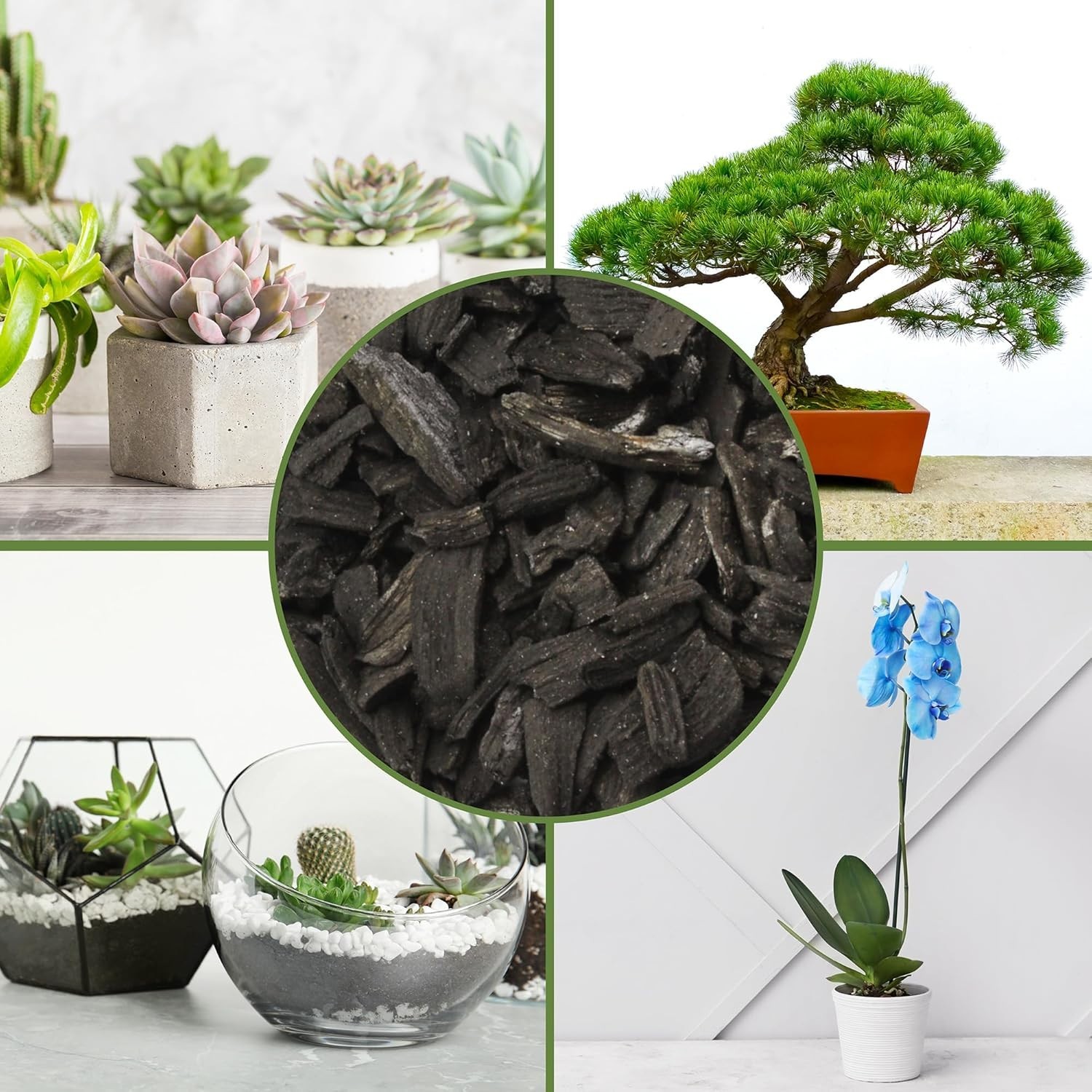 30 Qt Hardwood Horticultural Charcoal – Air Purifying & Drainage Aid