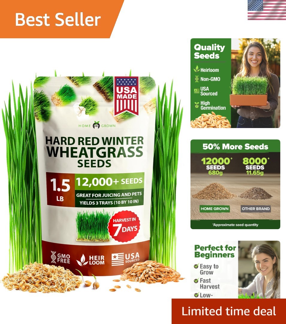 Hard Red Winter Wheatgrass Seeds 12,000+ Bulk 1.5 lb Heirloom Non-GMO, Sprout…