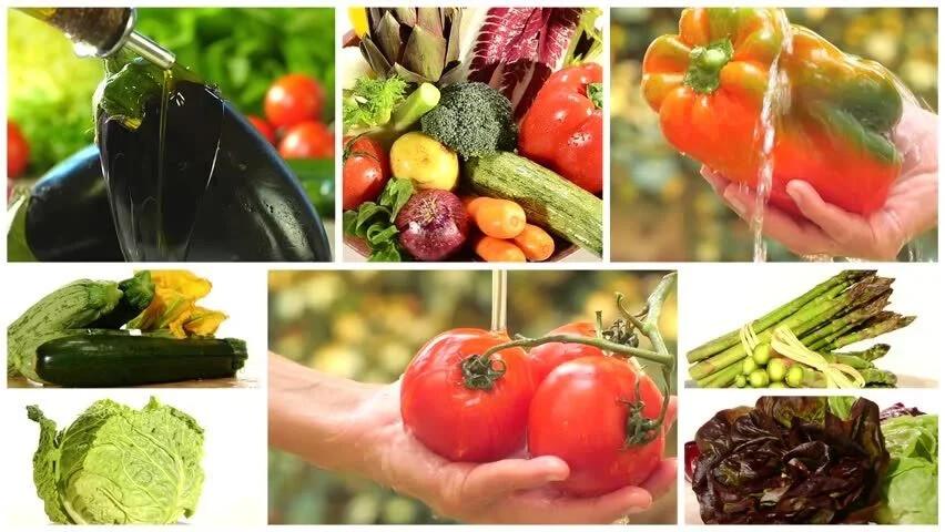 NON-GMO Vegetable Seeds 21 Variety Garden Emergency Survival Heirloom Seed Kit