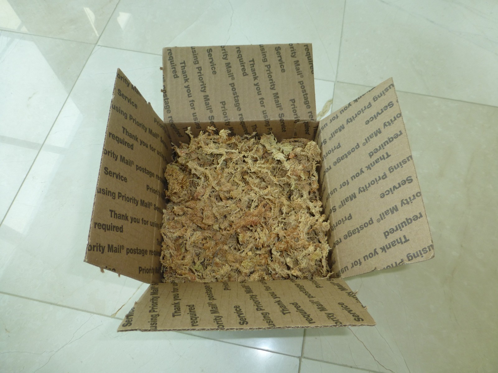 Premium New Zealand Sphagnum Moss AAA Grade for Plants Orchids Reptiles