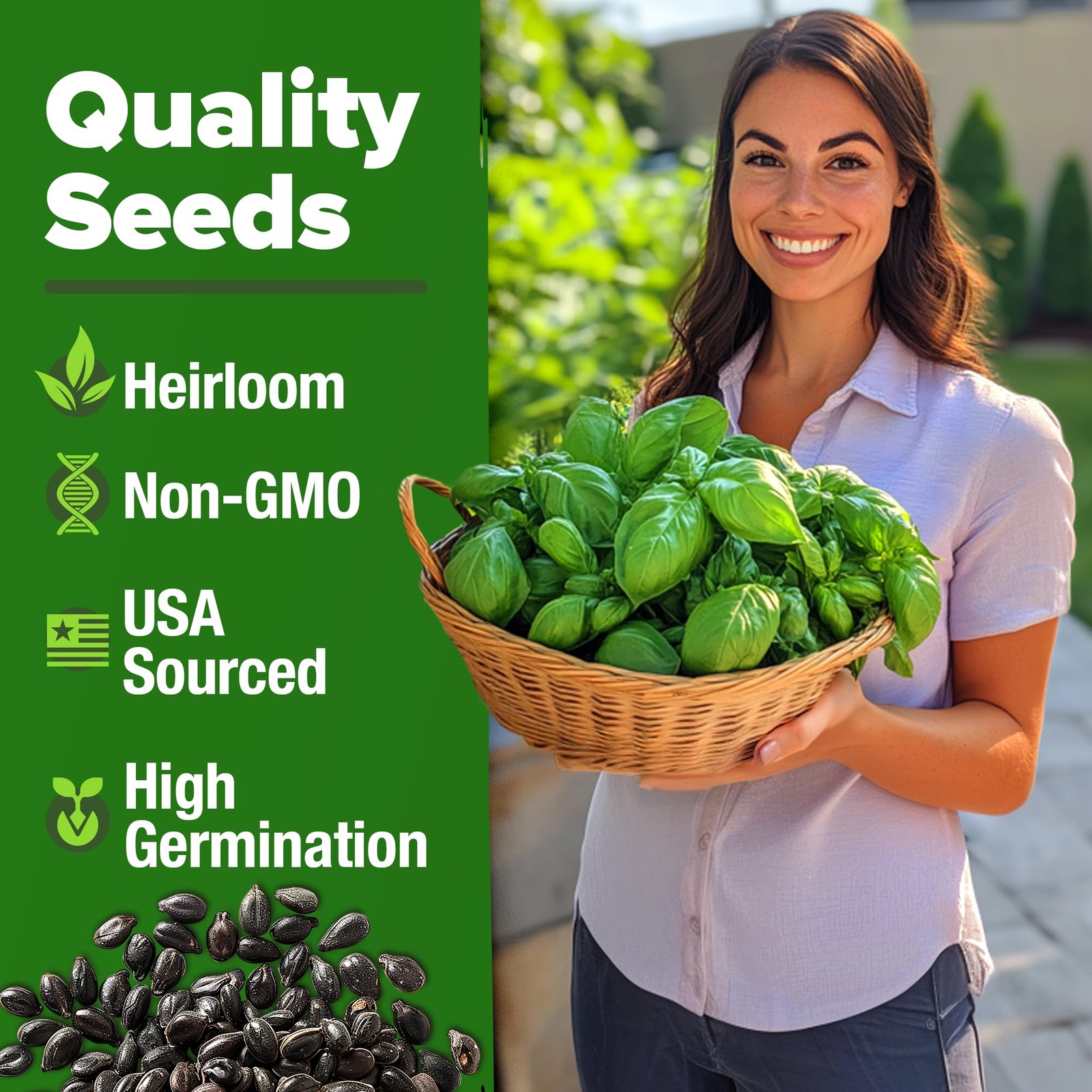 HOME GROWN Genovese Basil Seeds 2 Pack 3500 Non GMO Heirloom Basil Seeds for…