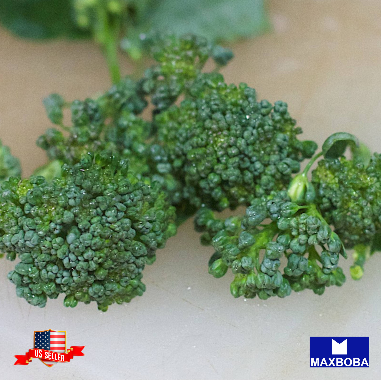 Broccoli Raab Early Fall Rapini Non-GMO Heirloom