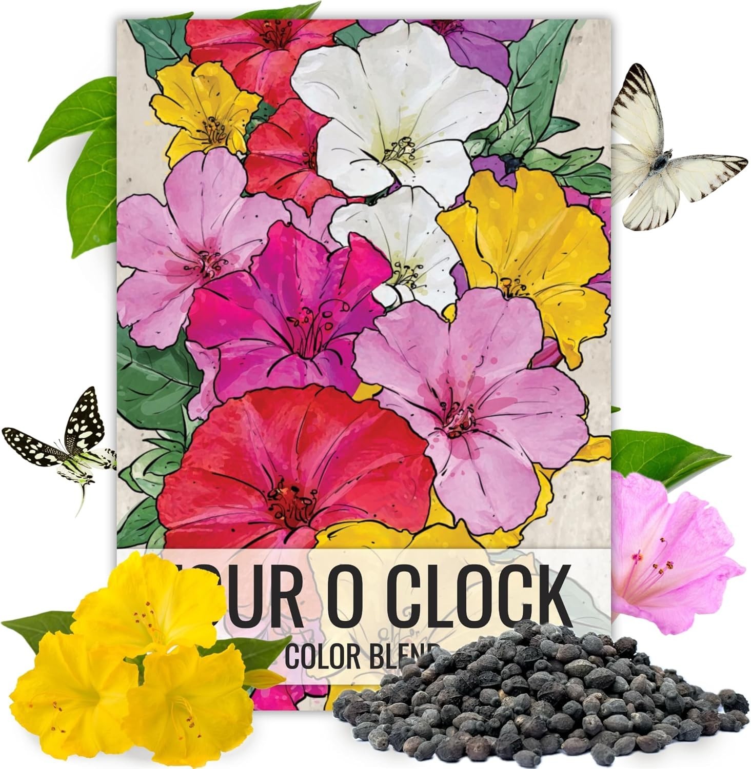 Bulk Four O’ Clock Seeds – Eco-Friendly Heirloom Blooms for Pollinator Gardens