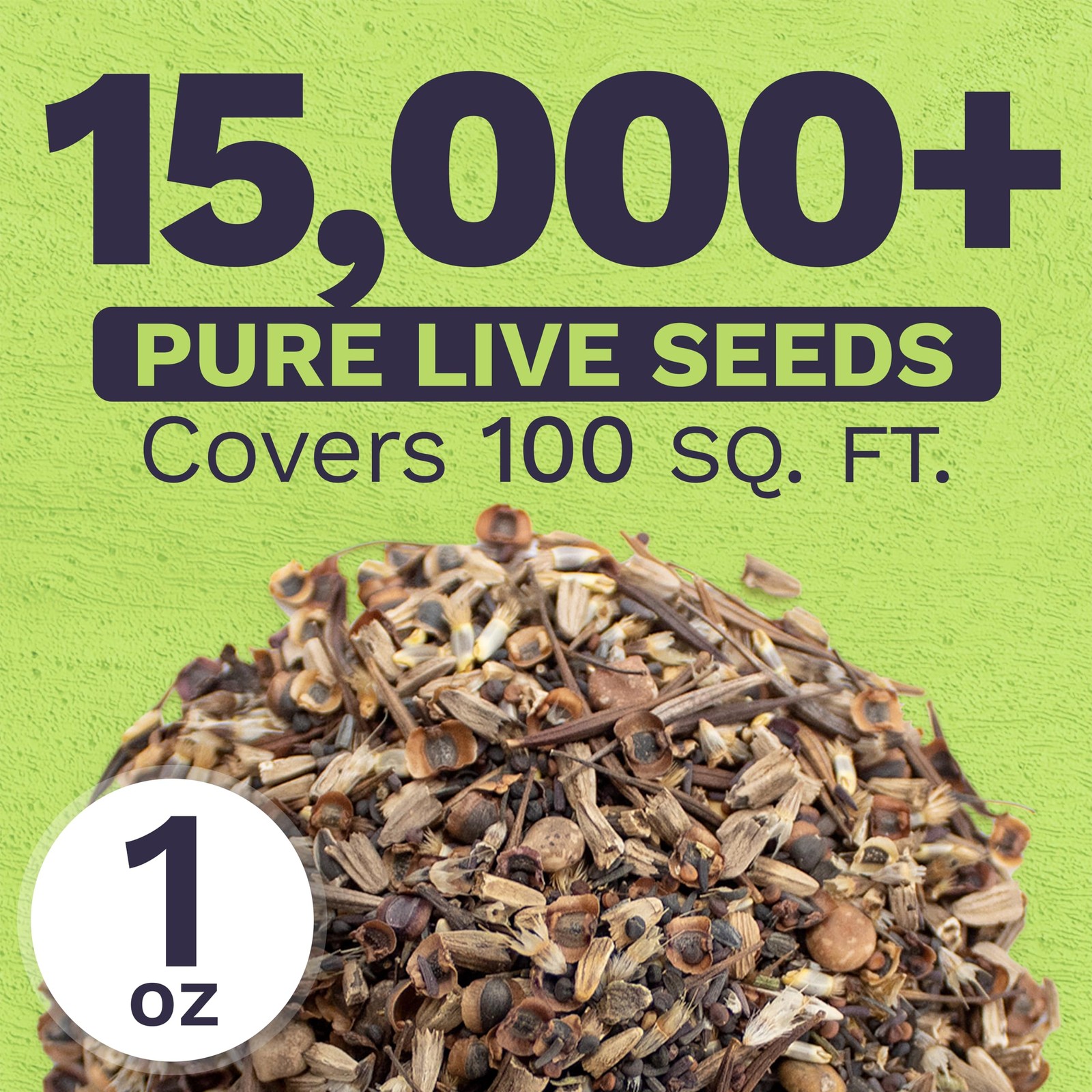 Texas Oklahoma Wildflower Seeds Mixture – Bulk 1 Ounce Packet – Over 15,000 N…