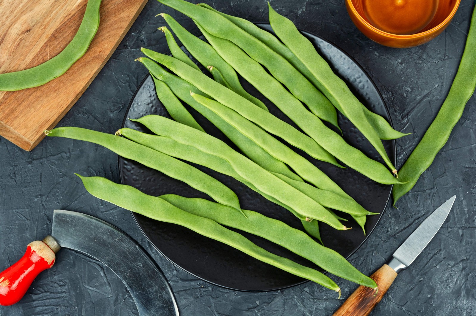 50 ROMA ITALIAN GREEN BEAN Phaseolus Vulgaris Vegetable Seeds *Comb S/H