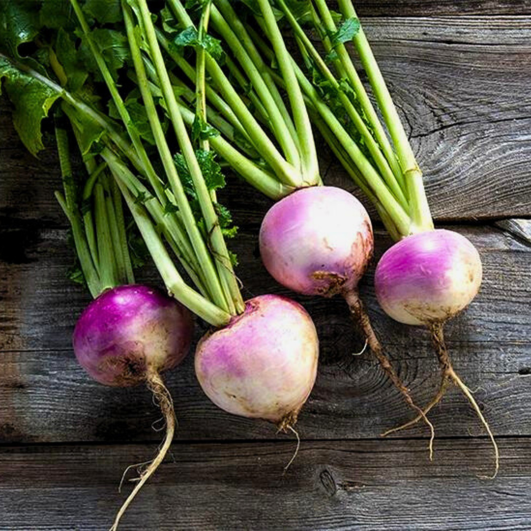Fresh Purple Top Turnip Seeds | Heirloom Non-GMO | Fresh Vegetable Seeds