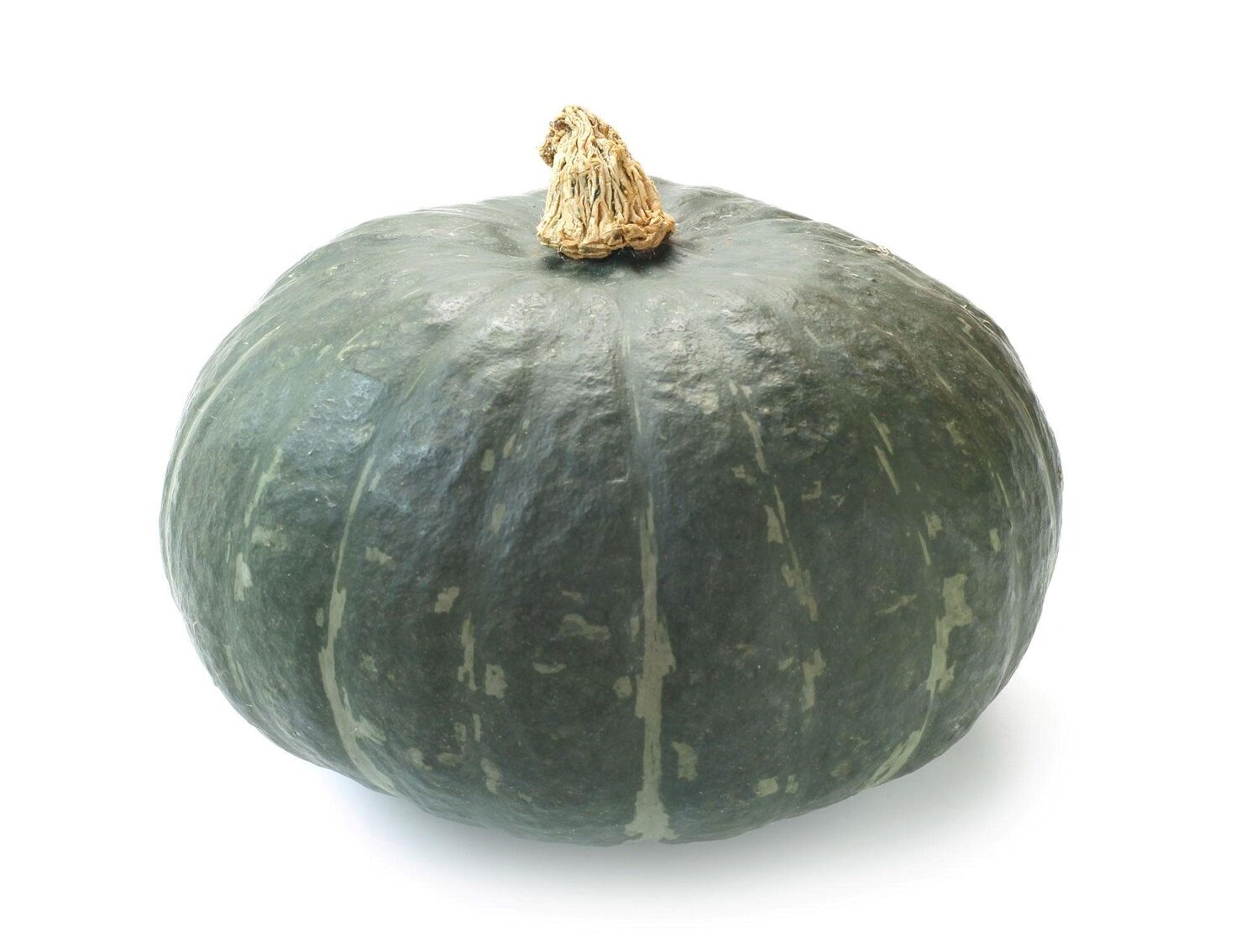 10+KABOCHA Chestnut Squash Pumpkin Seeds Sweet nutty flavor Japanese Pumpkin USA
