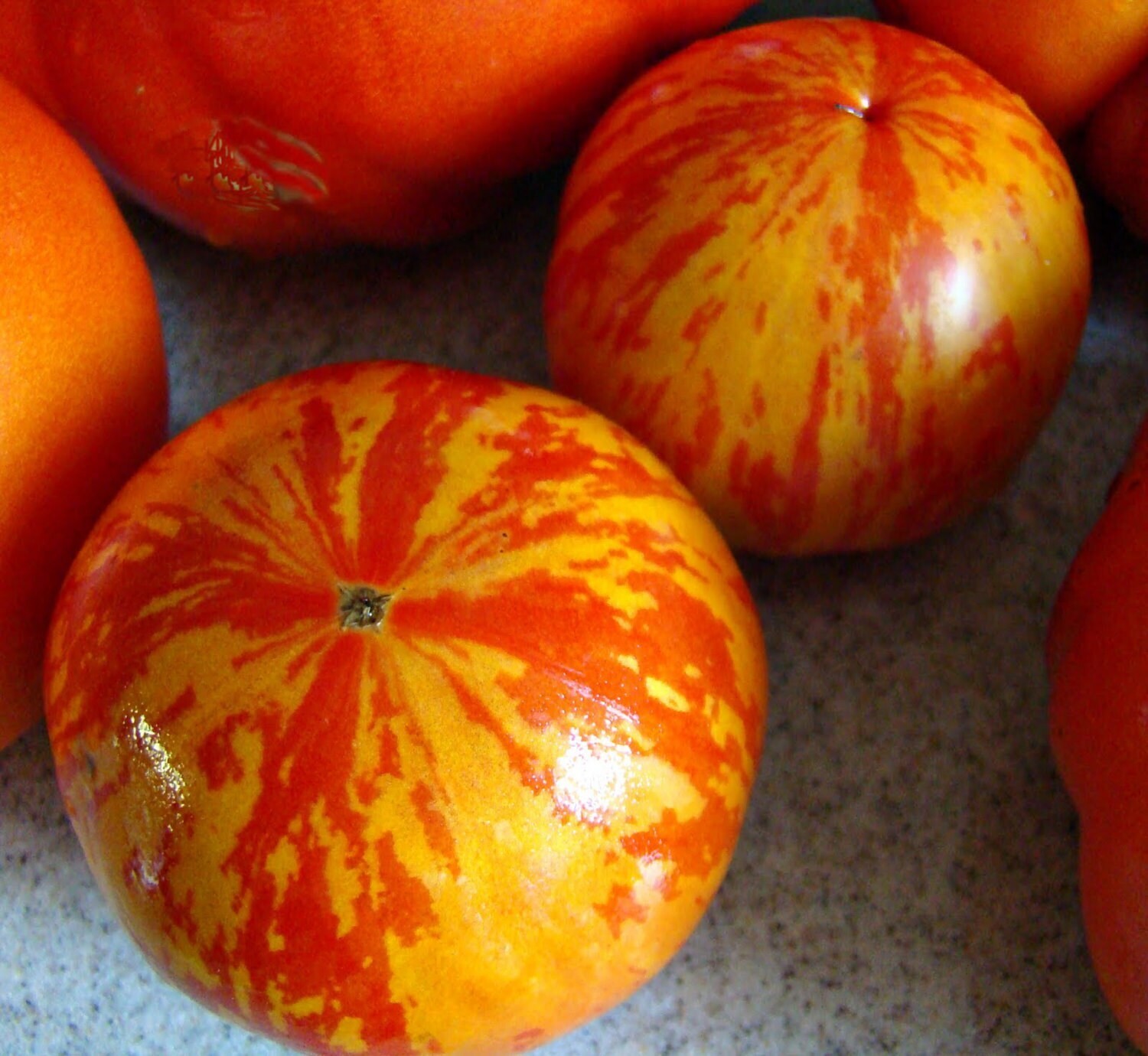 45 Organic Non-Gmo Red Zebra Tomato Seeds- Seeds Of Tomorrow