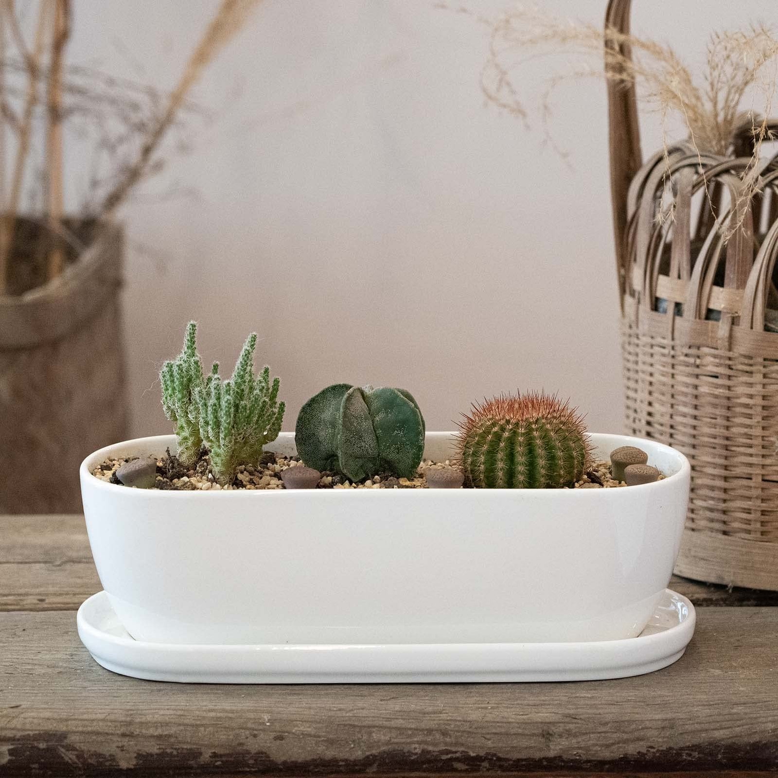 E-liu Ceramic Plant Pots, 11+14 inch, Set of 2, Planters with Drainage Holes …