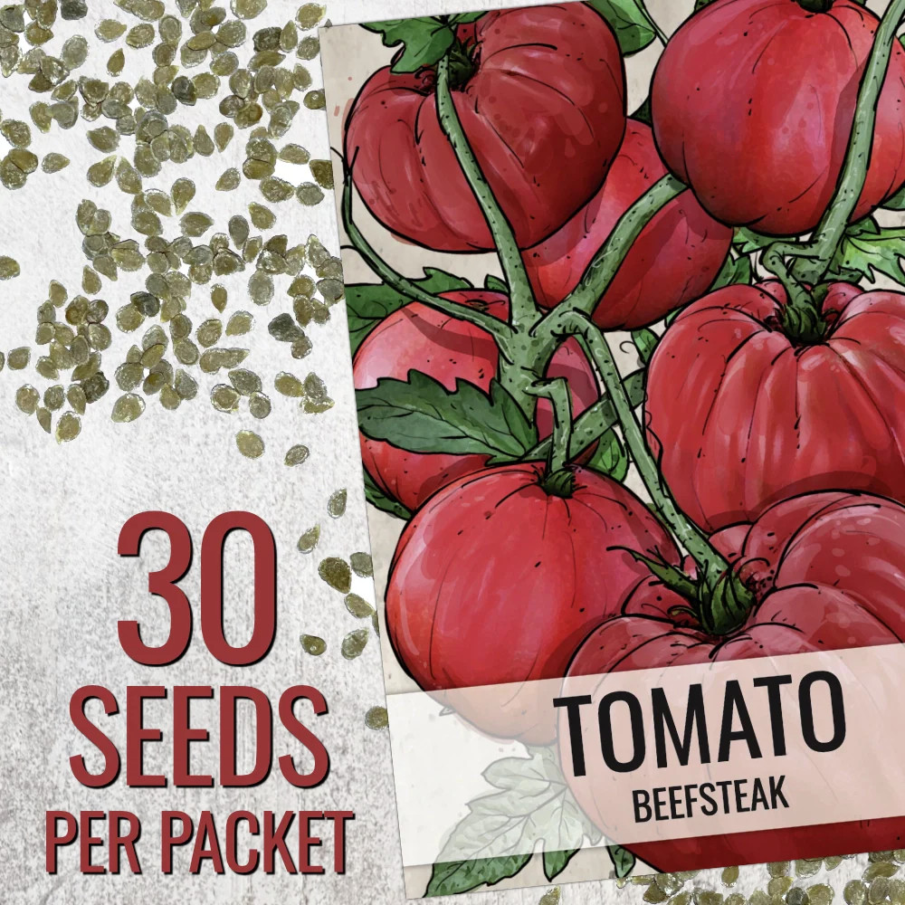 Beefsteak Tomato Seeds For Planting (Lycopersicon esculentum)