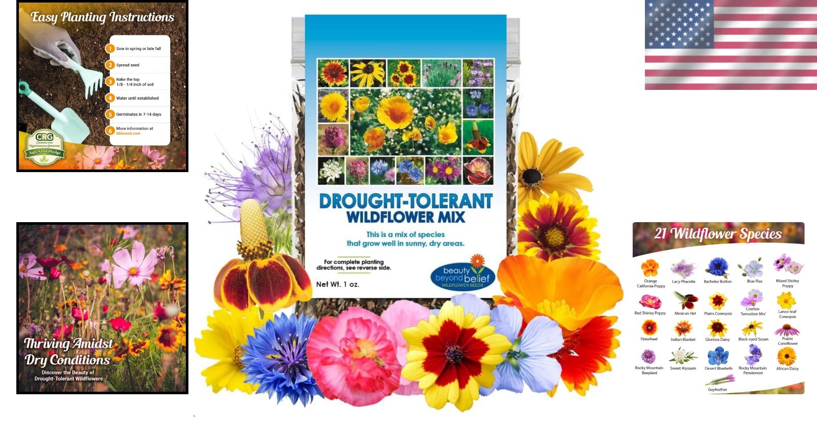 Beautiful Multi-Colored Wildflower Seeds – 1oz, Garden-Ready for Zones 2-10