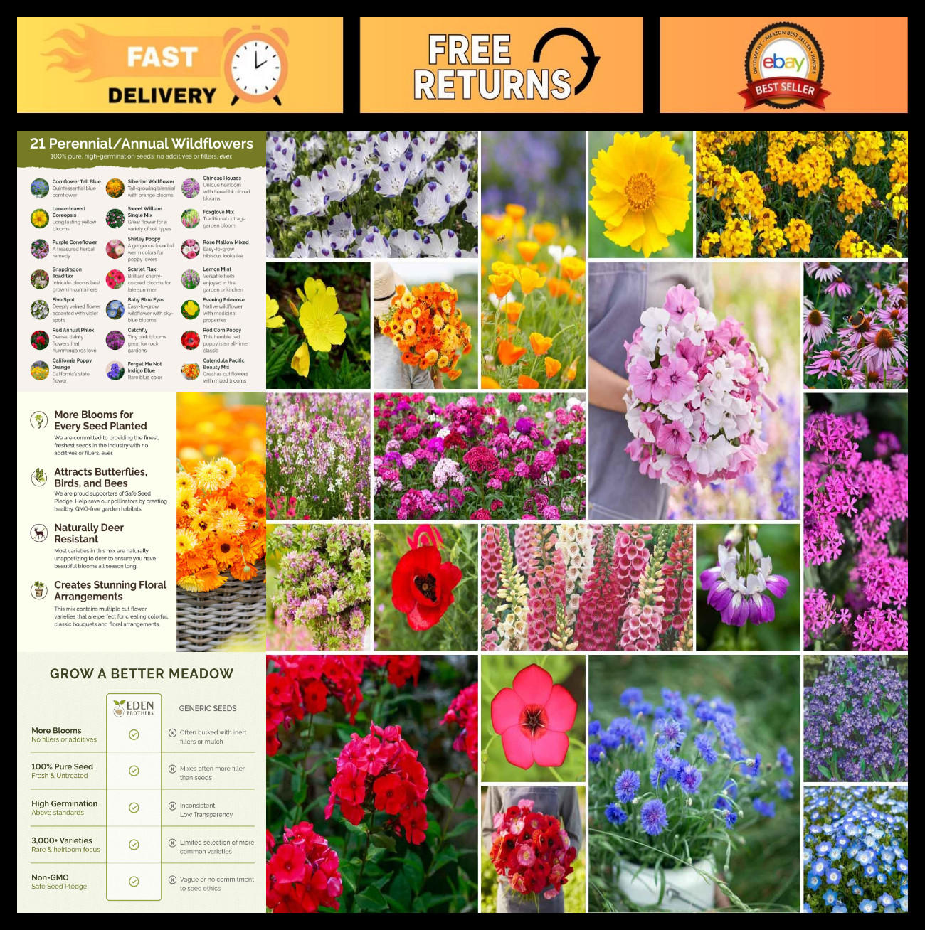 Partial Shade Wildflower Seed Mix – 120,000+ Seeds, Attracts Pollinators, Plant