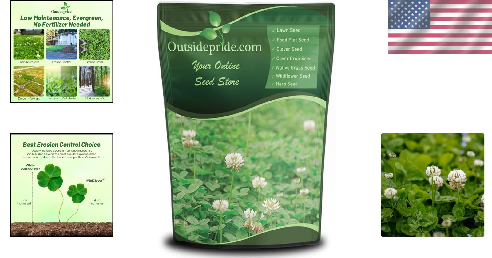 White Dutch Clover Seed – Nitrocoated & GMO-Free, 1 lb for Erosion Control