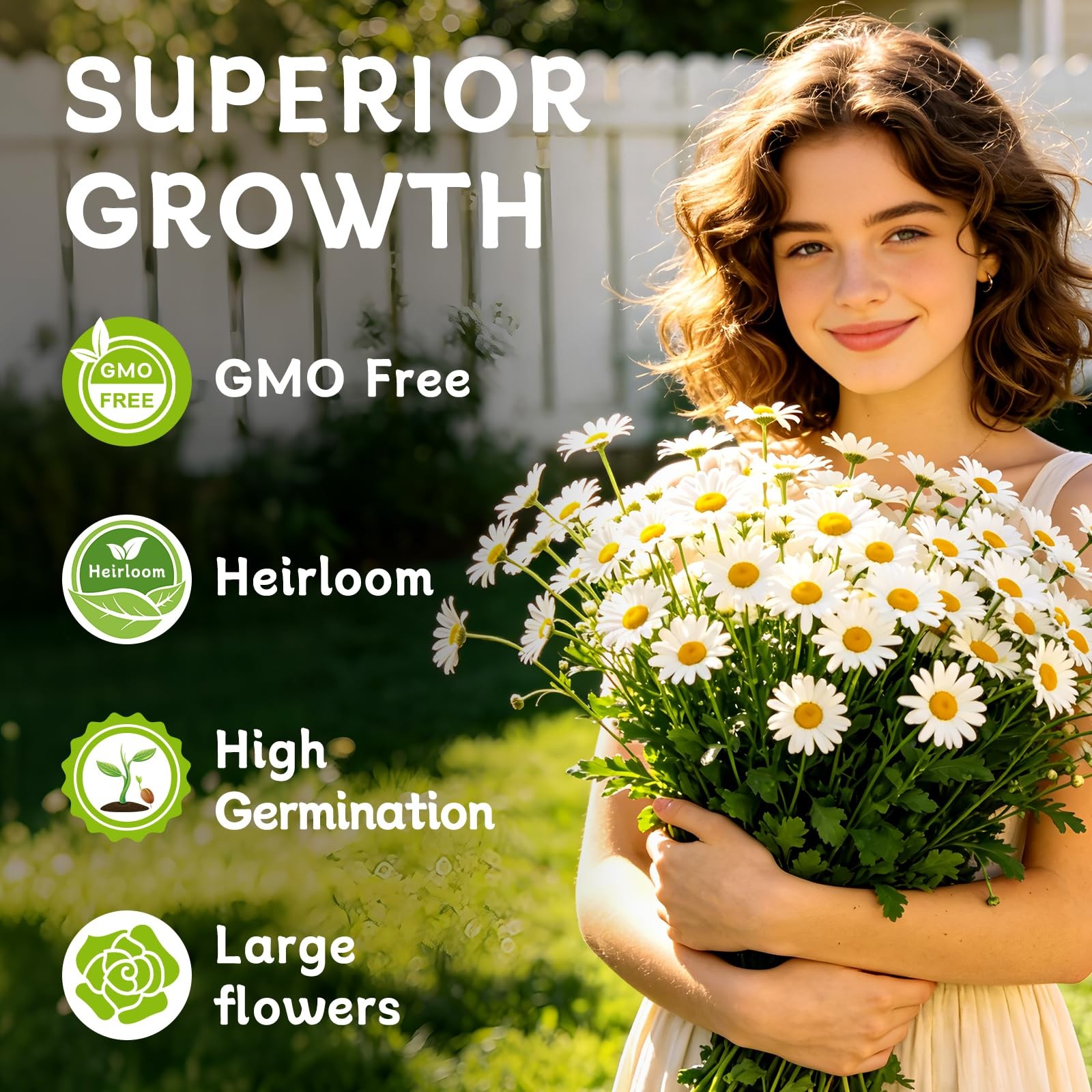 German Chamomile Seeds, 60,000+ Chamomile Flower Seeds Bulk for Planting Outd…