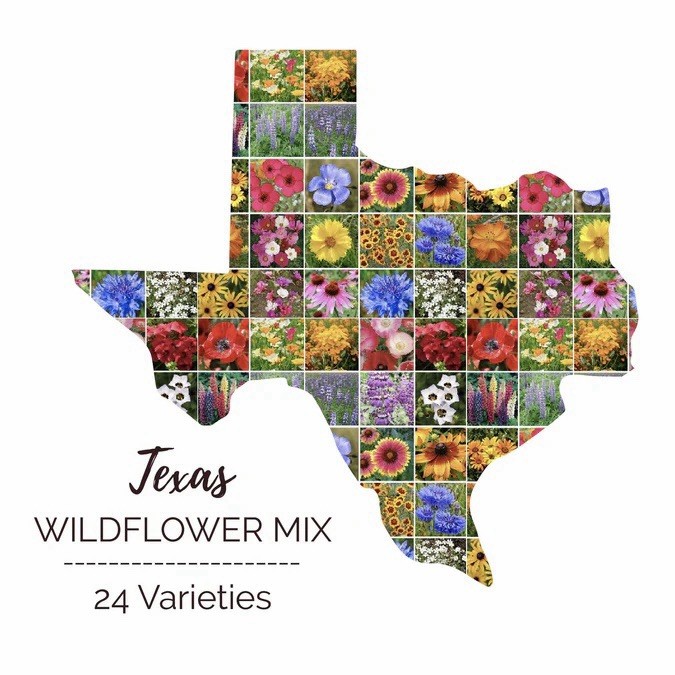 250+ Texas Wildflower Seed Mix- Perennials & Annuals Non-GMO USA Fast Free Ship