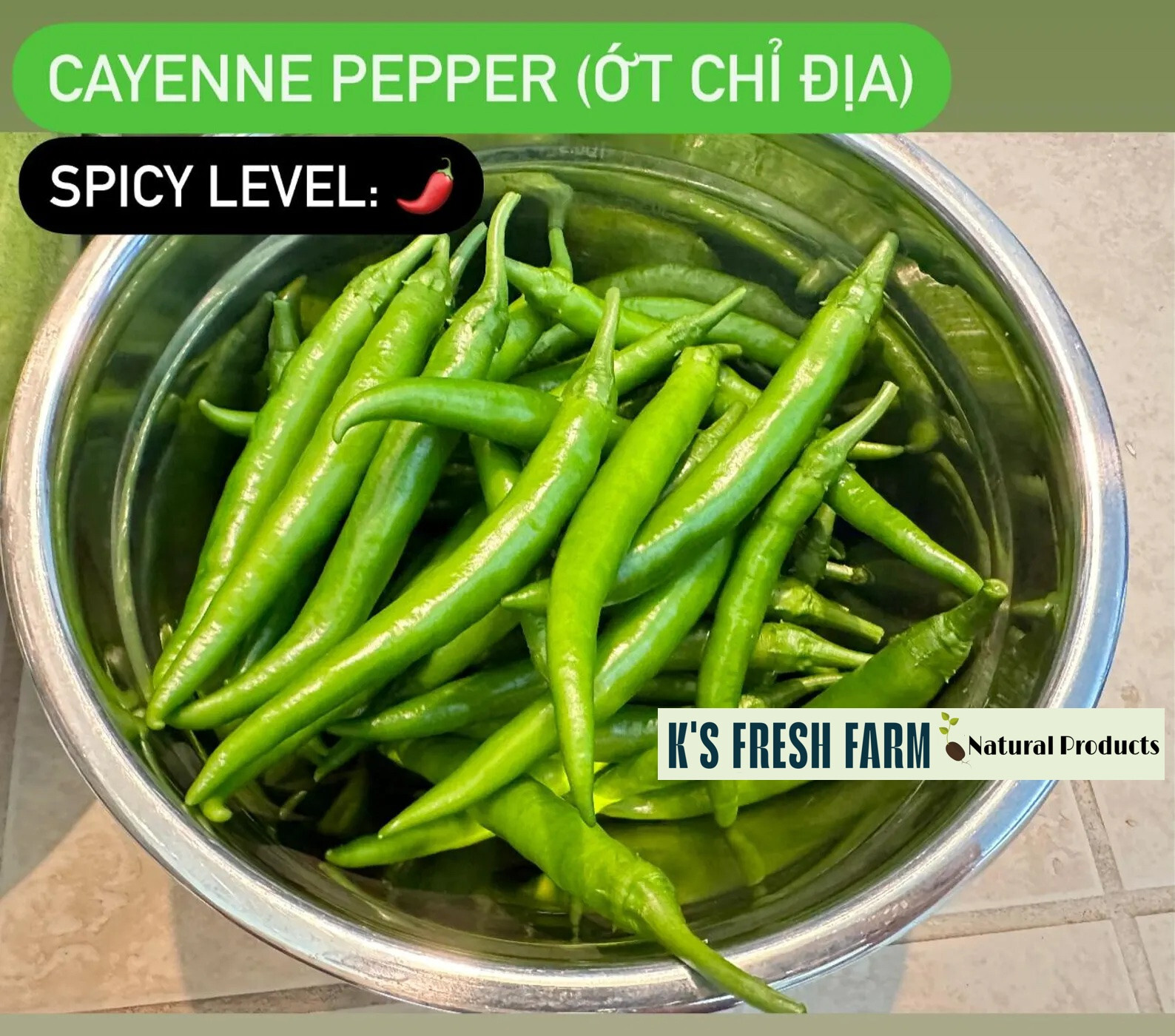 Cayenne Long Thin Red/ Goat Horn Pepper Seeds- hạt giống Ớt Chỉ Địa/ Ớt Sừng