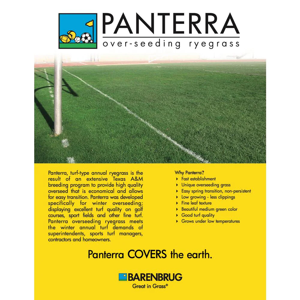 50 lb. Panterra V OverSeeding Rye Grass Seed