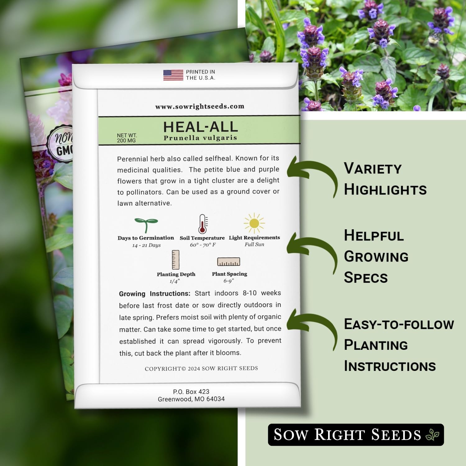 Sow Right Seeds – Heal-All Seeds for Planting – Self Heal Prunella Vulgaris – No