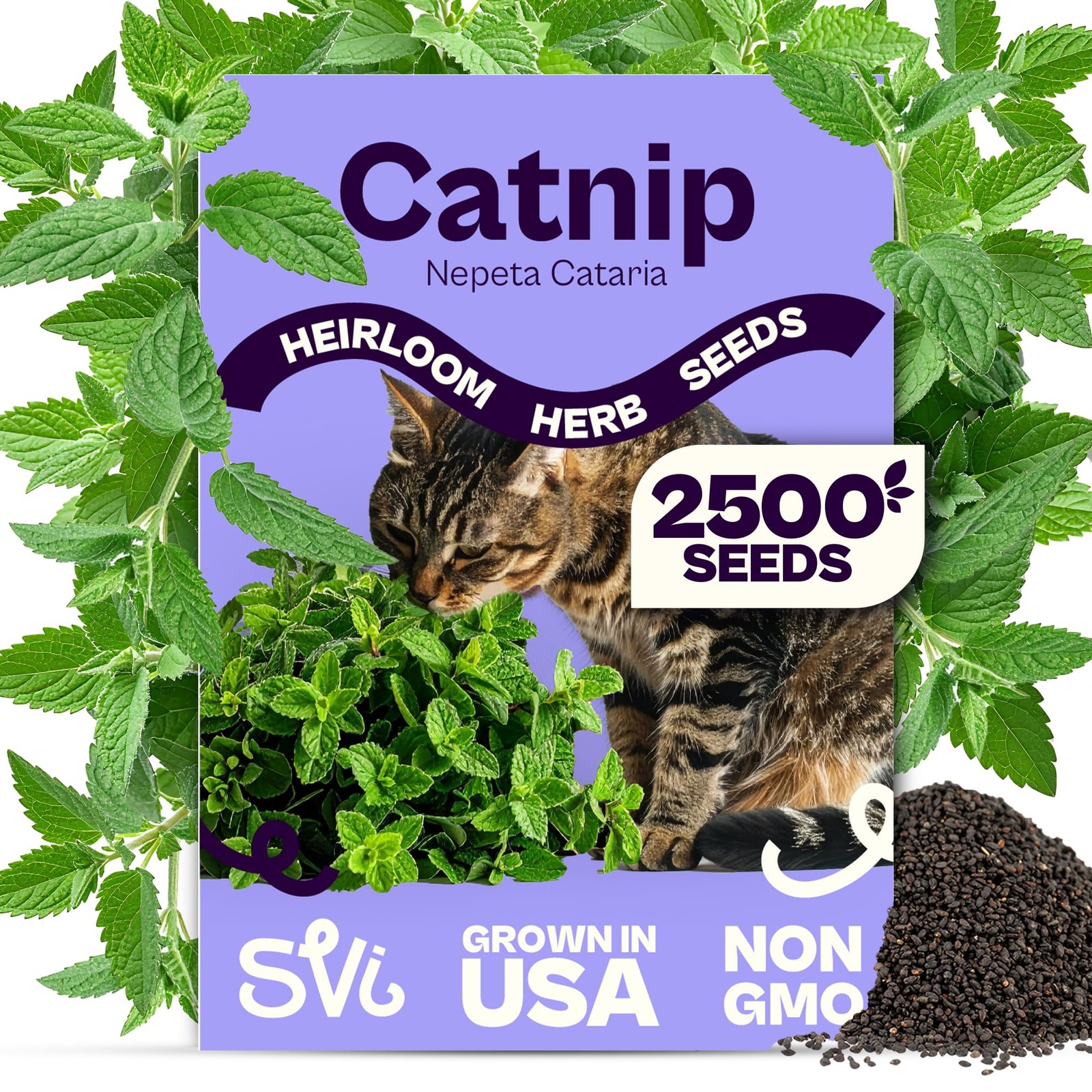 2500 Catnip Seeds Nepeta cataria – Catmint, Best Catnip for Cats Seed Packets…