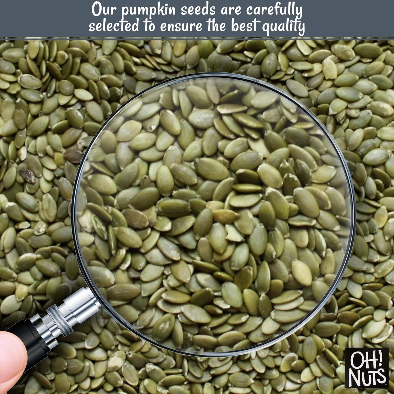 Deliciously Nutty 1.25 lb Roasted Pumpkin Seeds – Ideal Snack for All Diets