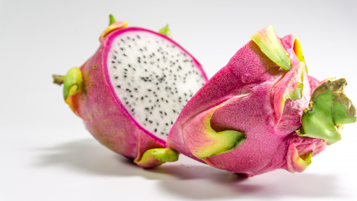 Dragon Fruit Cuttings – Cut To Order – Multiple Varieties – 8″-12″