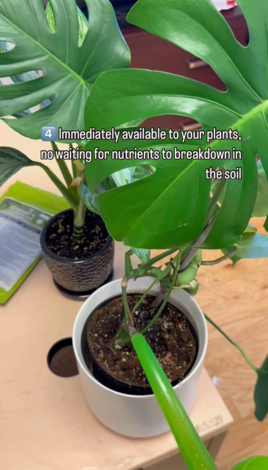 Grower’s Secret Nitrogen 16-0-0 • Organic • Readily Available For Uptake • 1 Lb