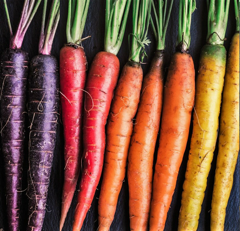 Rainbow Mix Carrot Seeds | Purple Red Yellow Orange Blend Mixed Vegetable 2024
