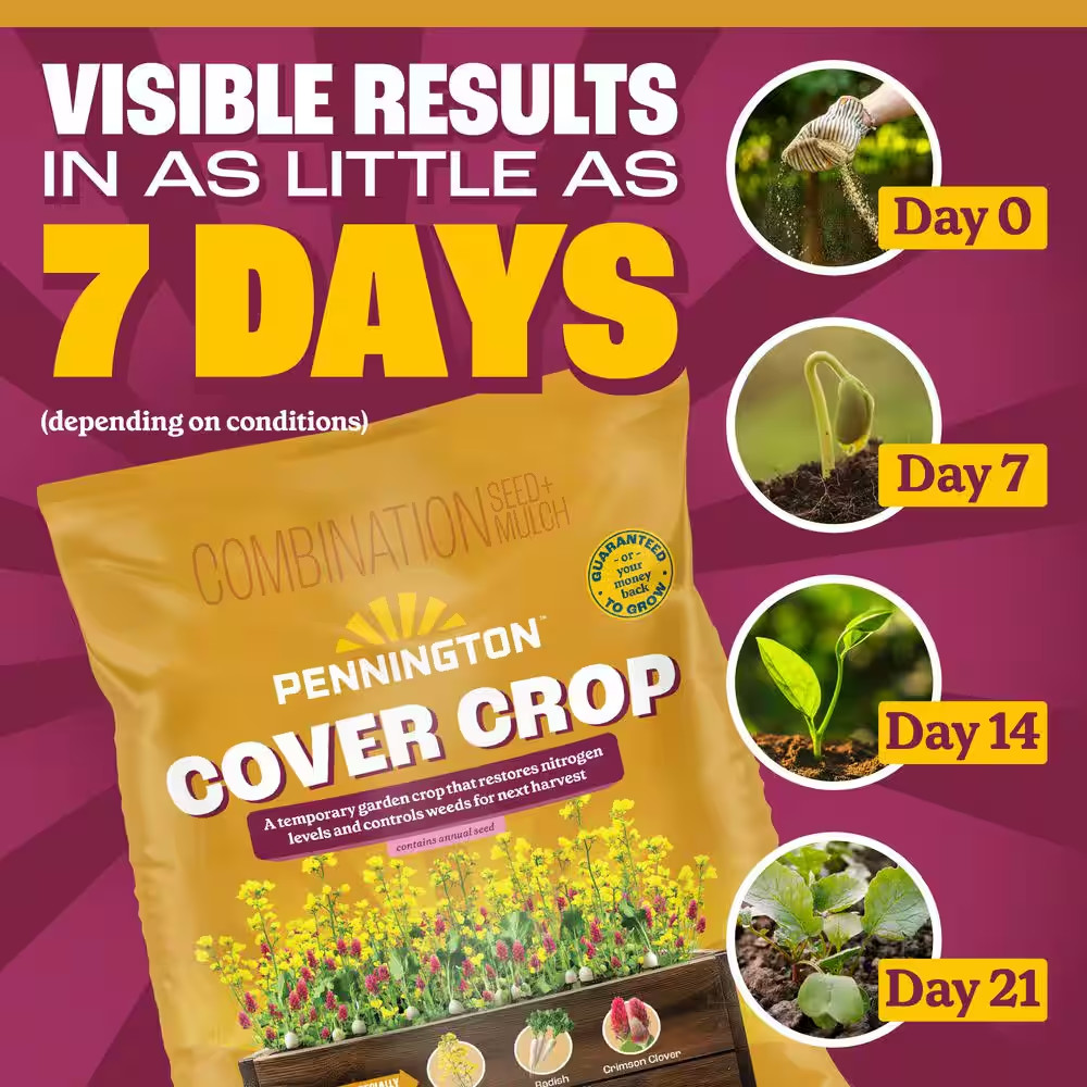 2 Lbs. 1,000 Sq. Ft. Garden Cover Crop Nitrogen Restoring Plant Seed Mix