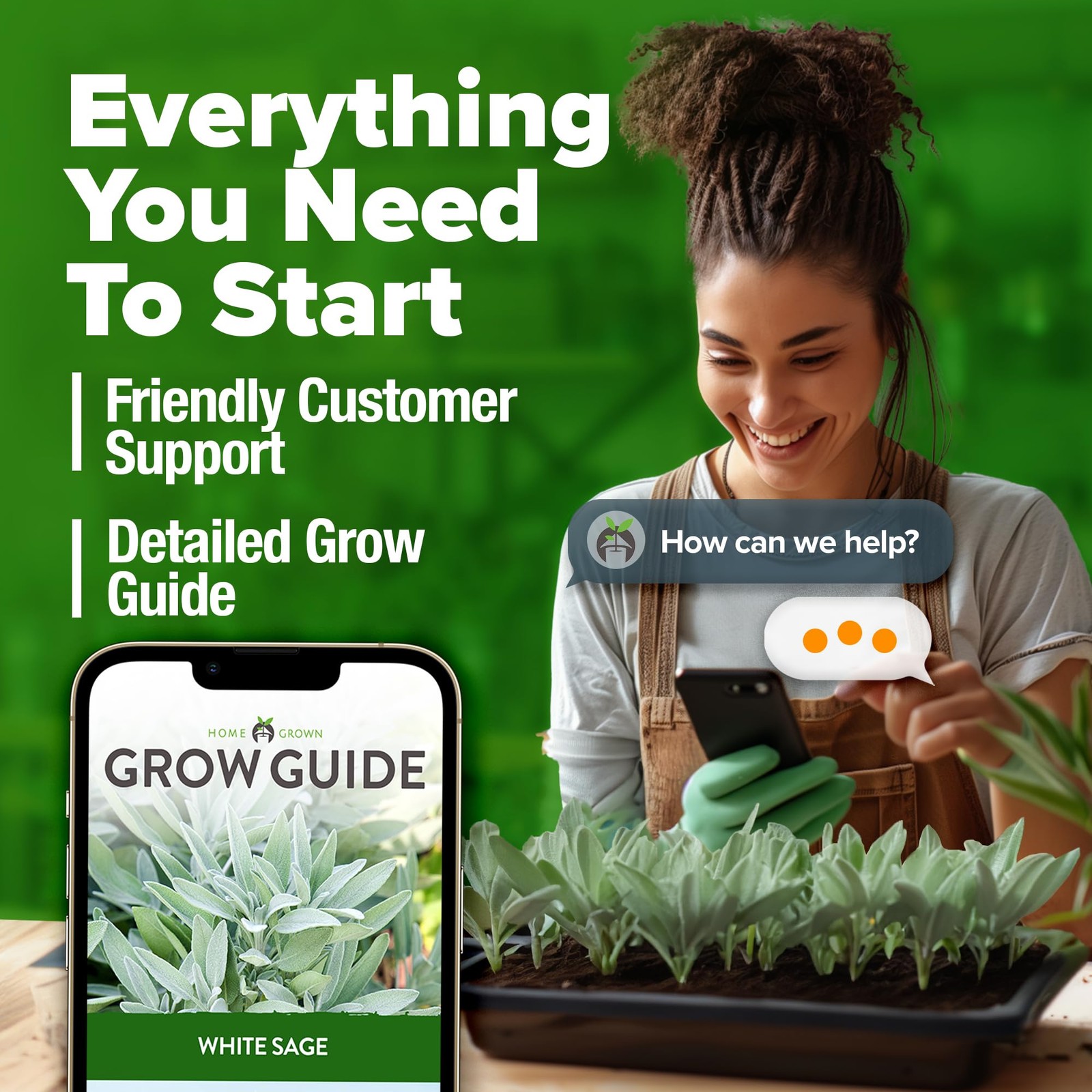 HOME GROWN Non GMO White Sage Seeds 323 Pack Heirloom – 1-Pack, Green