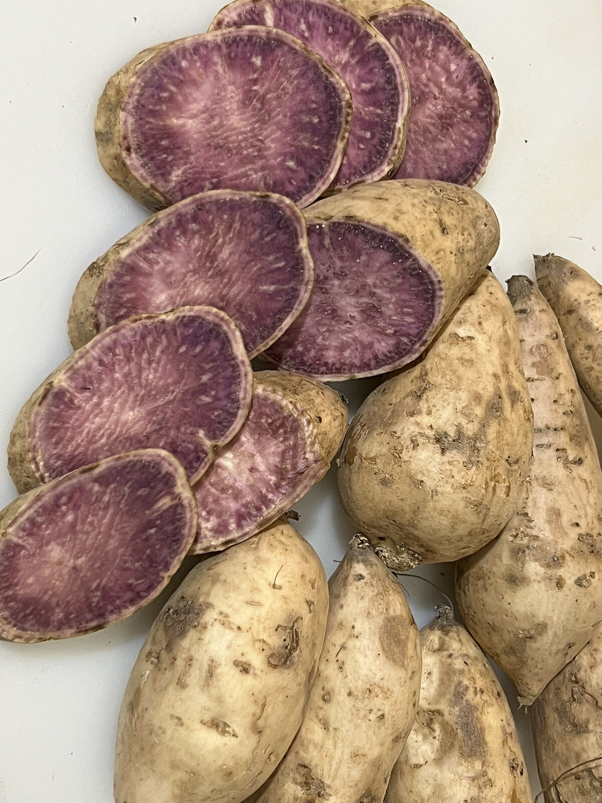 10 Okinawa -yam Sweet Potato Slips- White And Purple Sweet Potato Slips