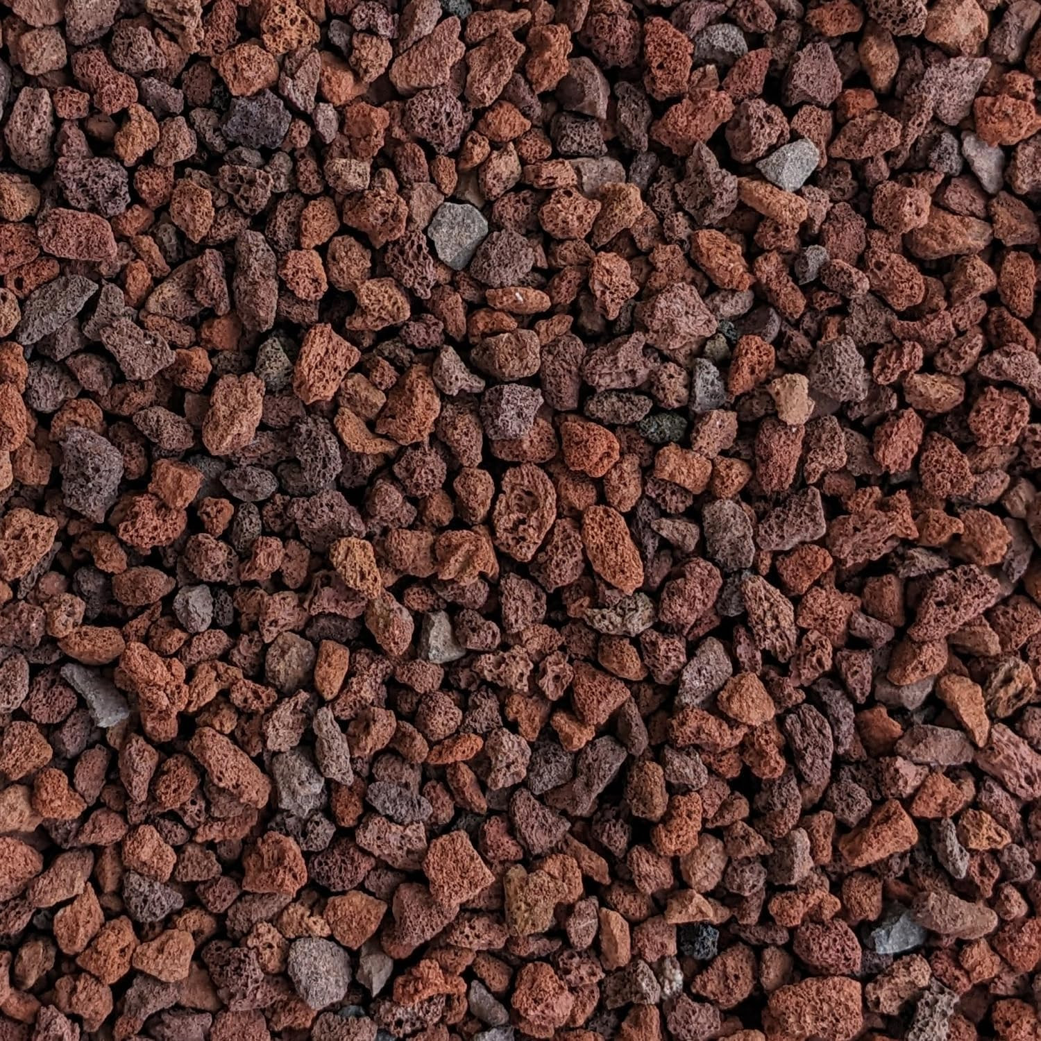 Red Lava Rocks for Plants Natural Horticultural Volcanic Rock (1/4″ Size) (Mined