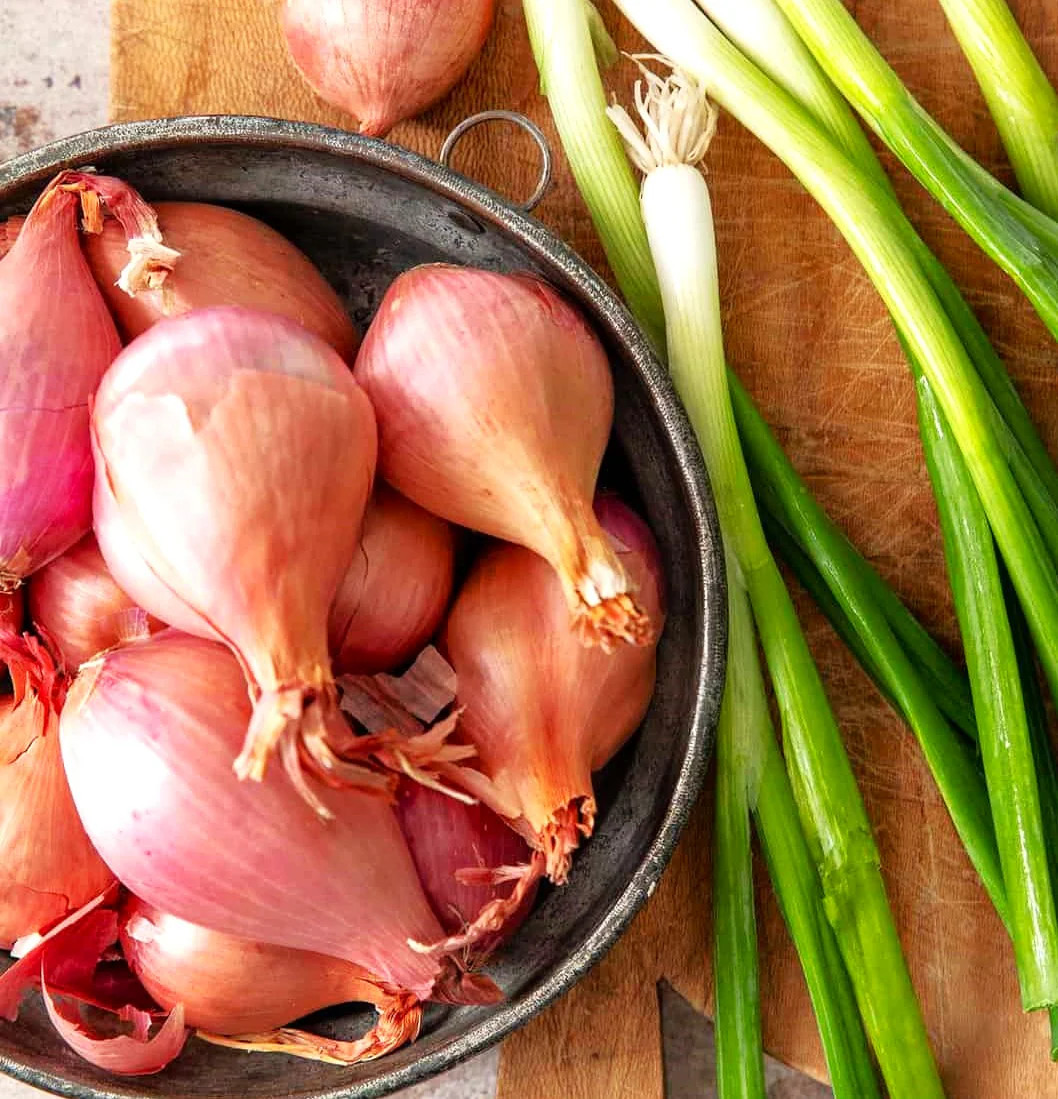 Nero Shallot Sets (Bulbs) | Traditional Round Onion Set Seed 2024 Fast Shipping