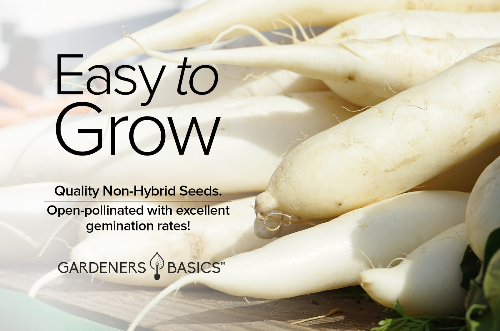 White Icicle Radish Seeds