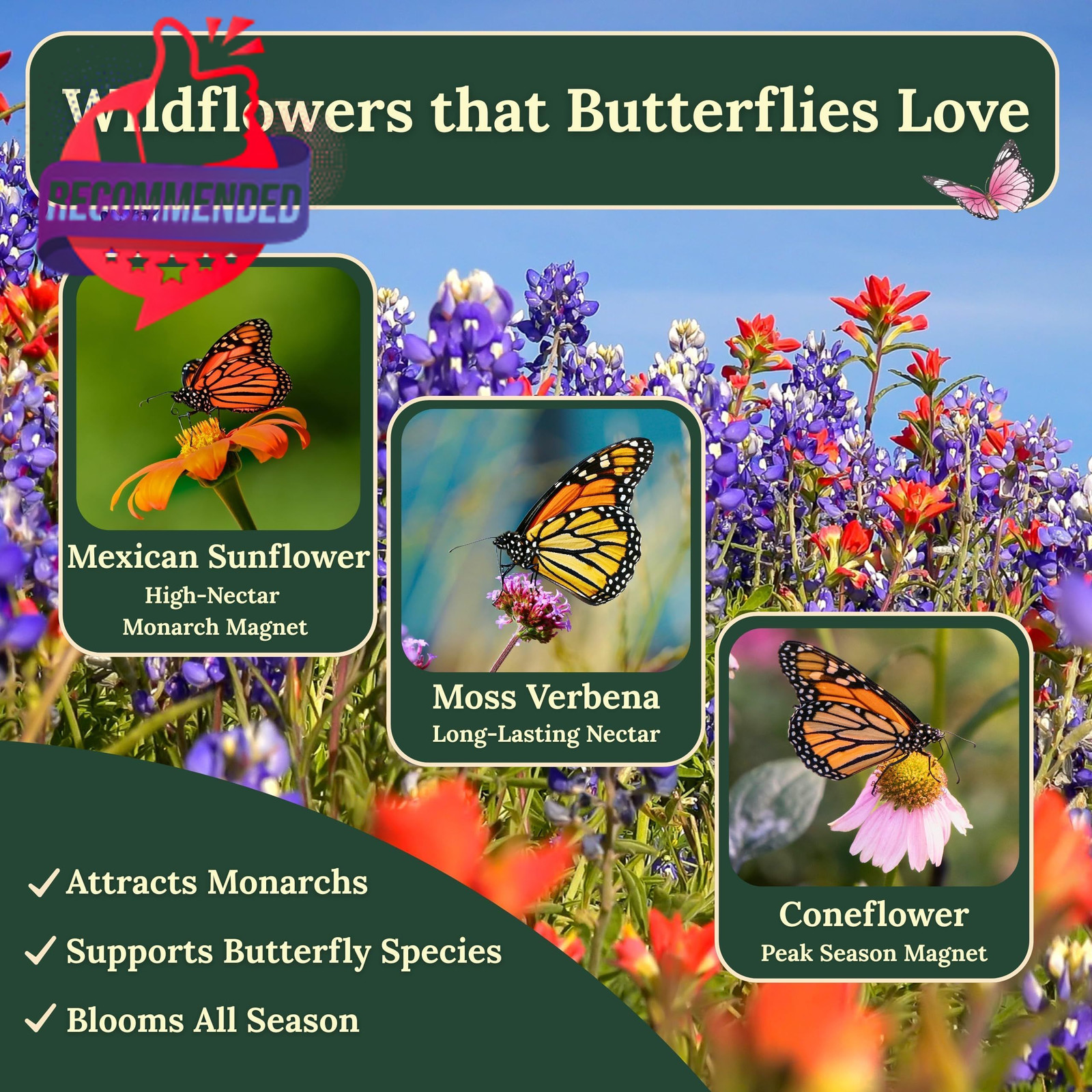 Wildflower Seeds for Bees & Butterflies – 22 Variety Pollinator Mix Multicolor