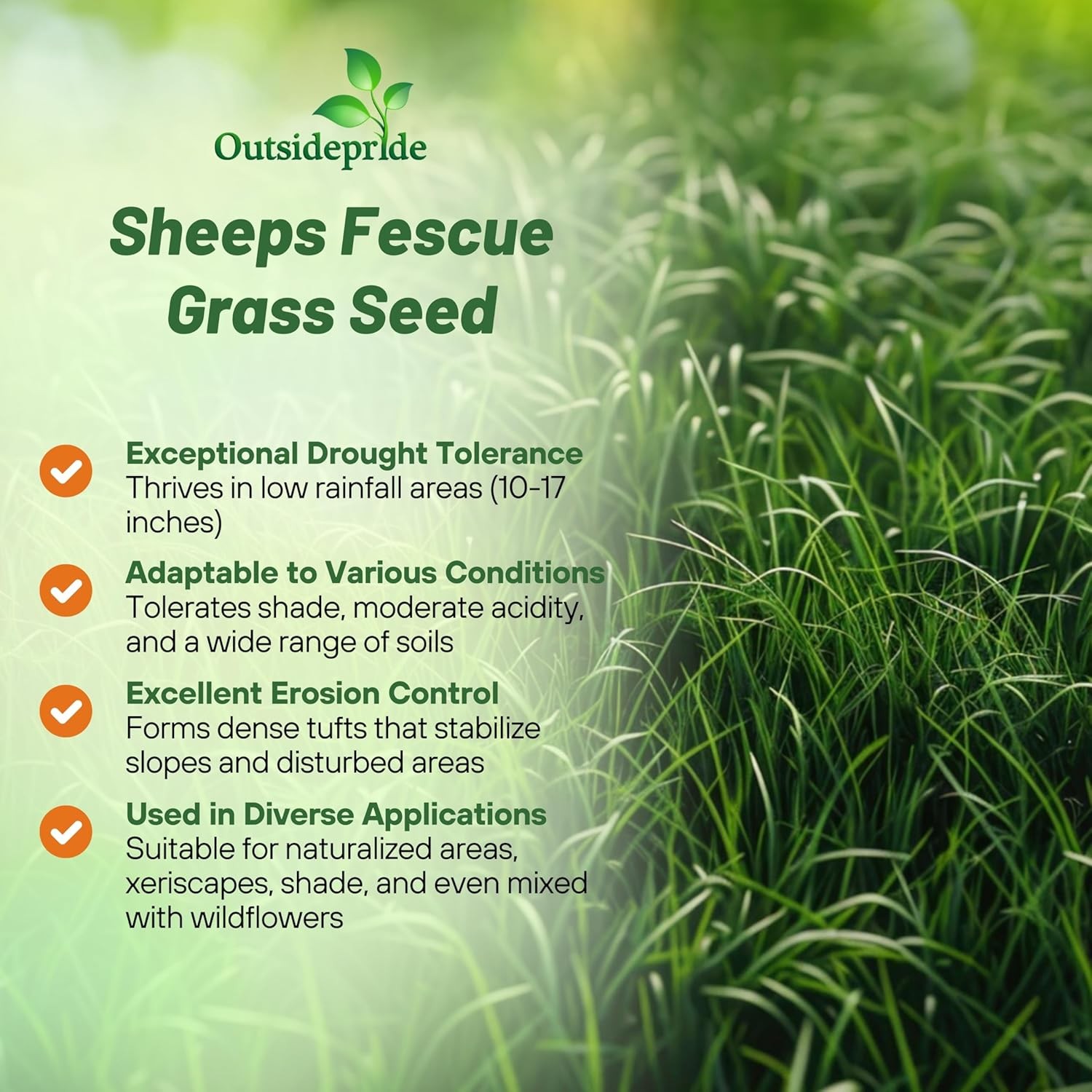 10 LBS – OptiGrowth Coated Sheeps Fine Fescue Xeriscaping Drought