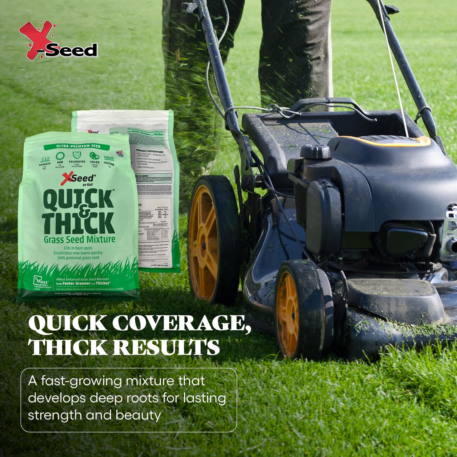 Ultra Premium Quick and Thick Lawn Seed Mixture – Rapid Germination for Any L…