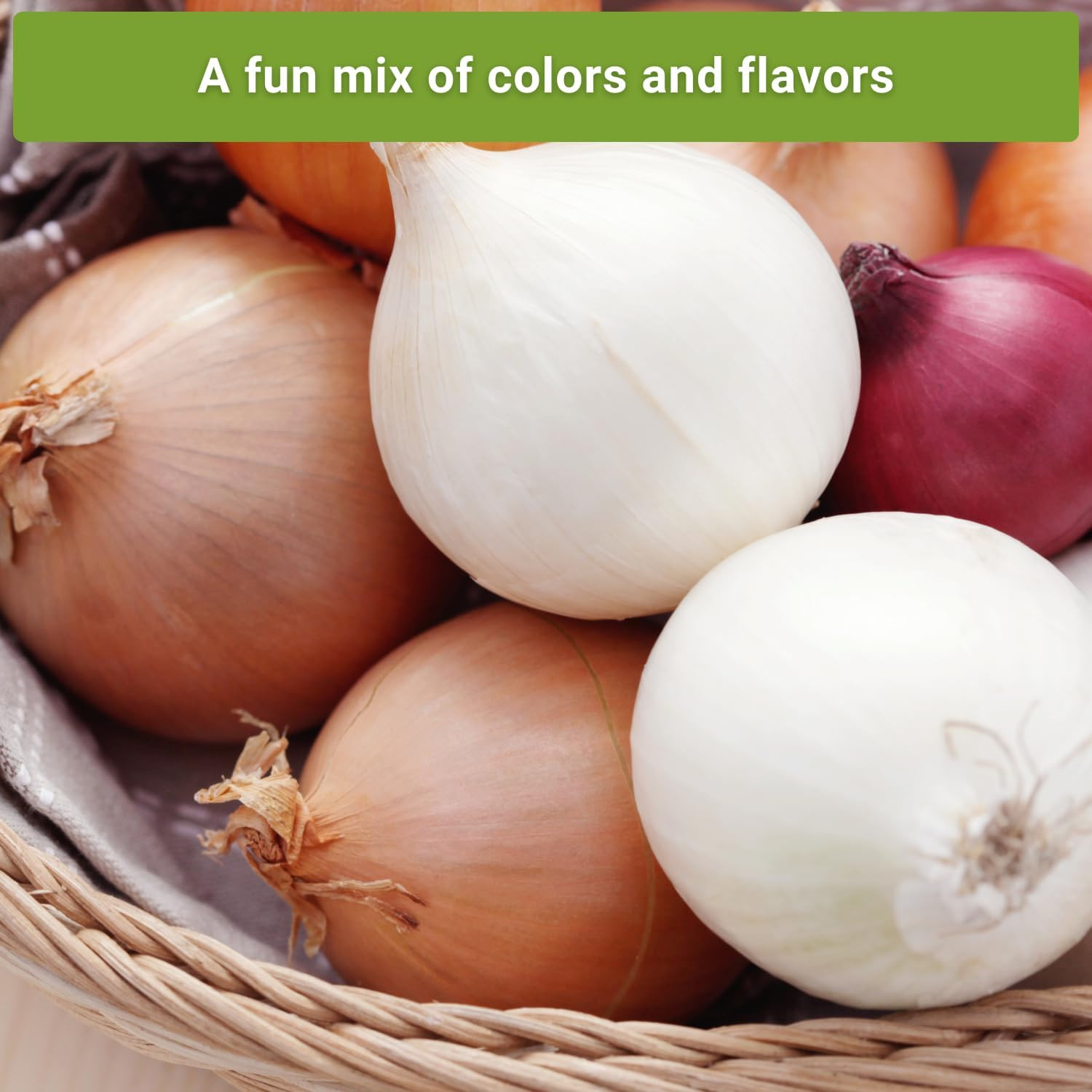 – Short Day Onion Seed Collection for Planting – Red Creole, Crystal White Wax,
