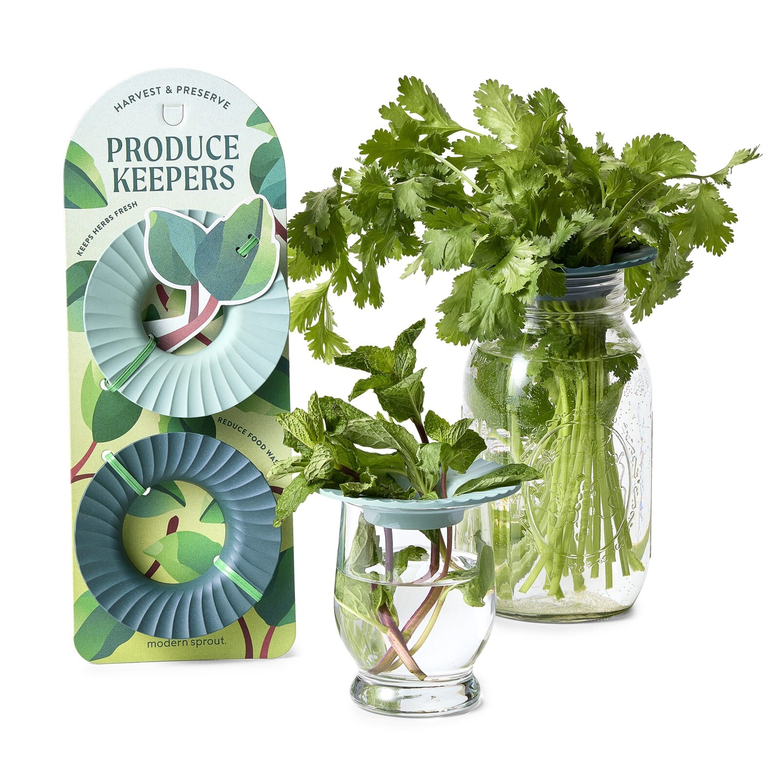 Modern Sprout/ Produce Keepers/ Set of 2