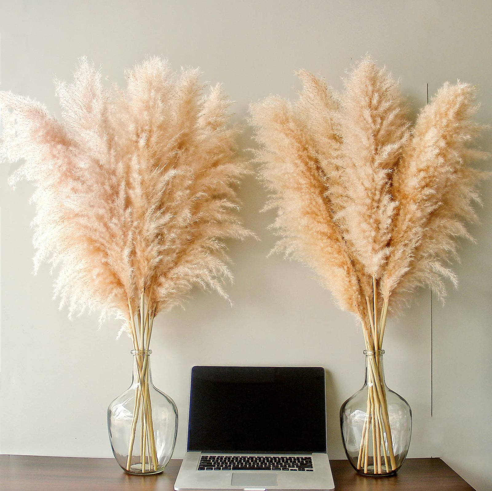 46″ inch 10 Stems Natural Pampas Grass Decor Tall, Pompas Grass, Tall Beige