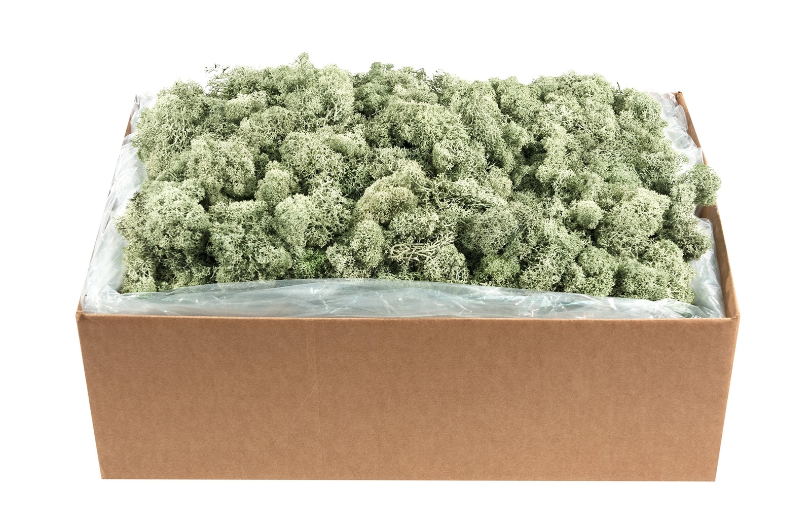 SuperMoss (21792) Reindeer Moss Preserved, Moss Green, 10lbs