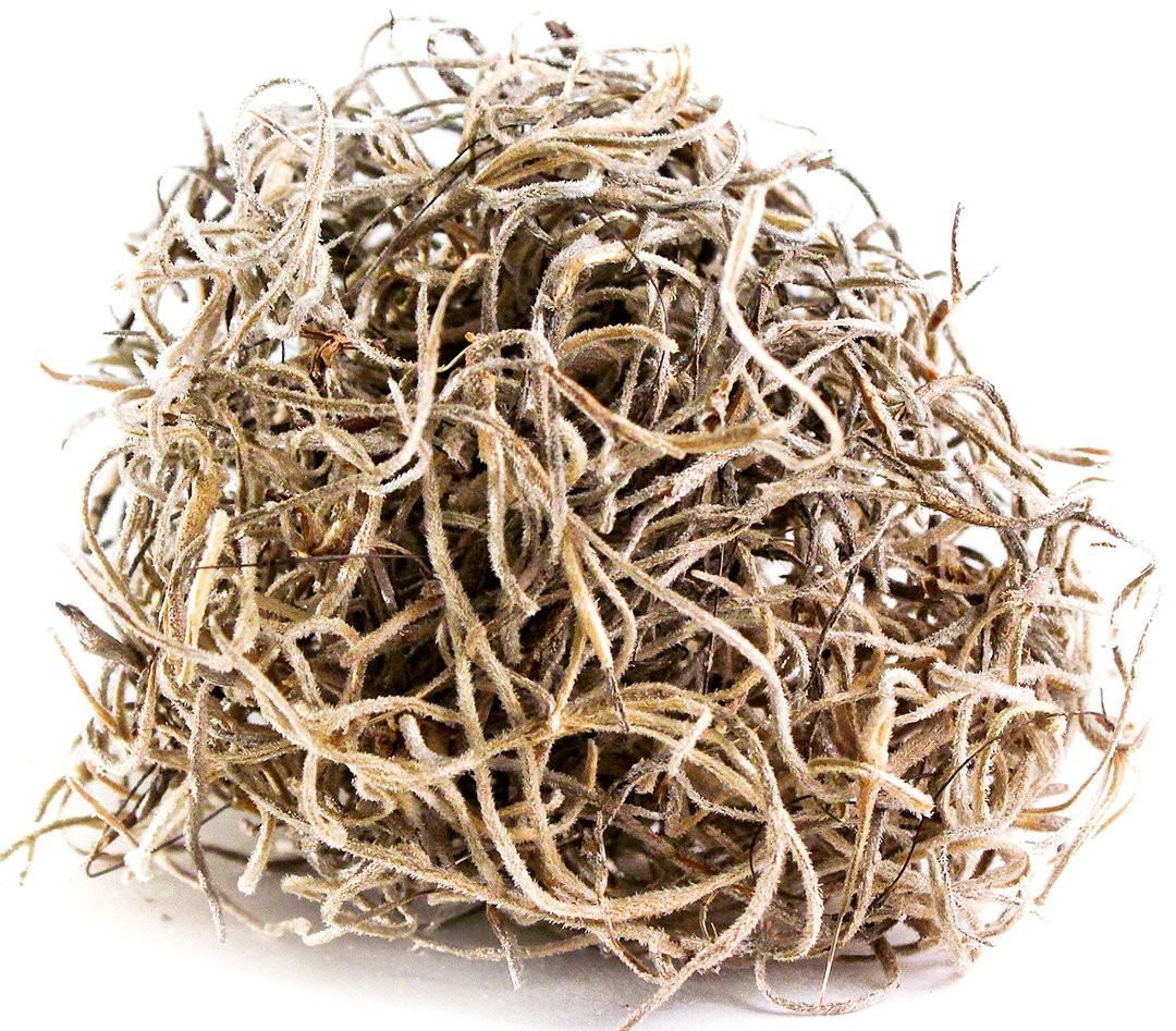 SuperMoss (26914) Spanish Moss 200 cubic in Bag (Appx. 8oz), Natural